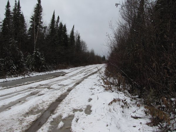 typical road in Moose Factory.