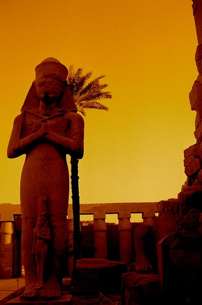 In Luxor.