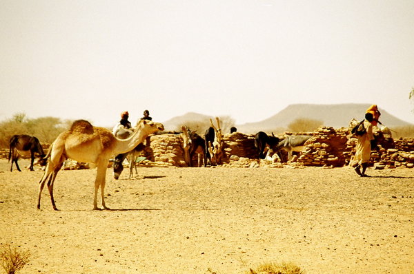 Camel herders.