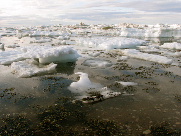 An ice-choked bay.