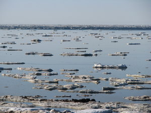 Hudson Bay sea-ice.