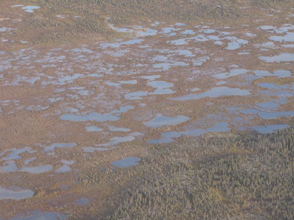 The tundra pools on our land