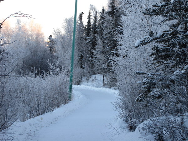 Walking trail in Yellowknife