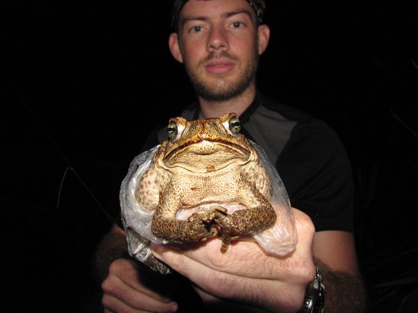 Tim catches a toad.