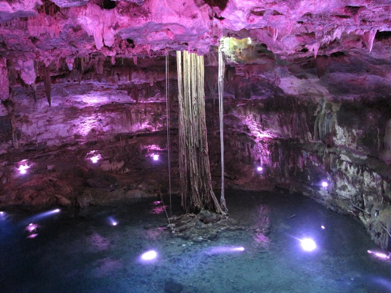 Samula Cenote - nice roots from above ground