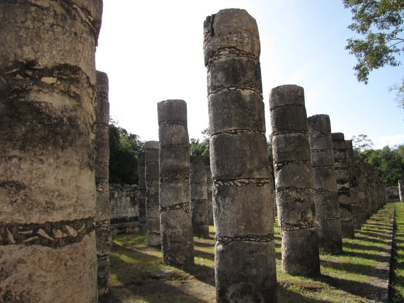 Group of Thousand Columns