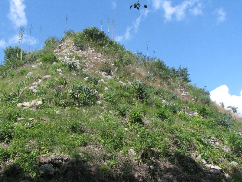 Unexcavated side of a pyramid