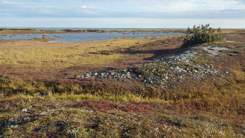 Wapusk Landscape