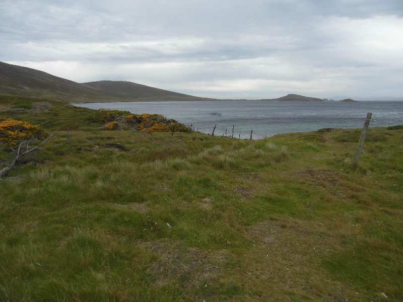 Falklands Scene