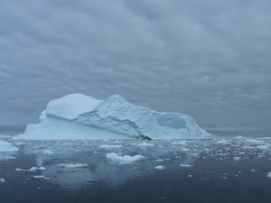 More Icebergs