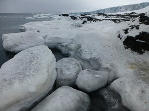 Icy Shoreline of the Antarctic Sound
