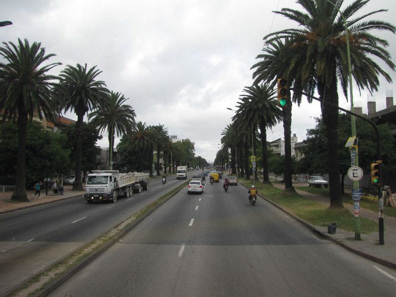 Streets lined with palm trees