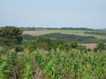 Paraguayan Countryside