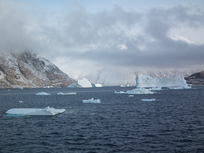Icebergs near Little Island