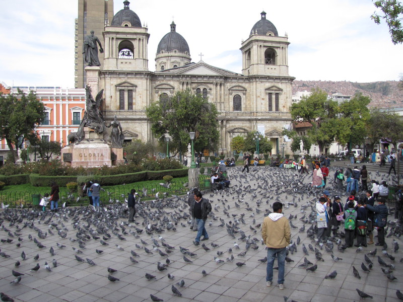 Plaza and Cathedral