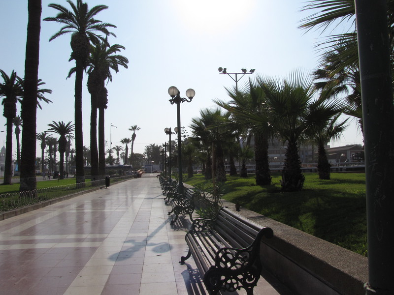 The Palm-lined Streets