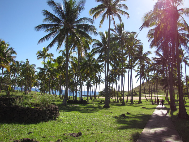 Palm-treed Anakena beach