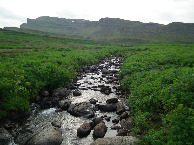 Near Seydisfjörður
