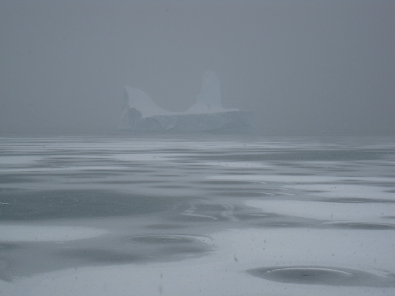 Iceberg entombed by sea ice