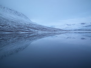 Reflections at Frederiksdal