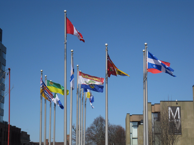 The Flags