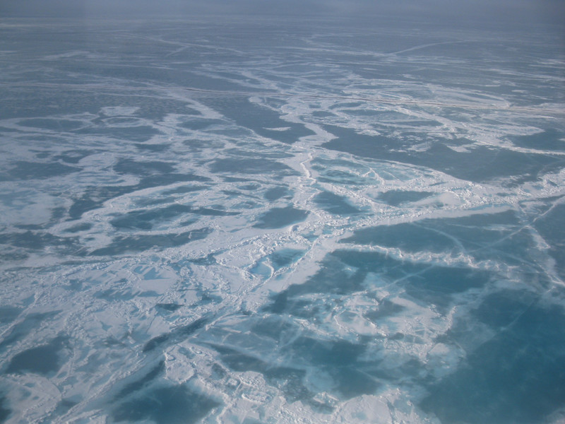 Ice Covered Sea