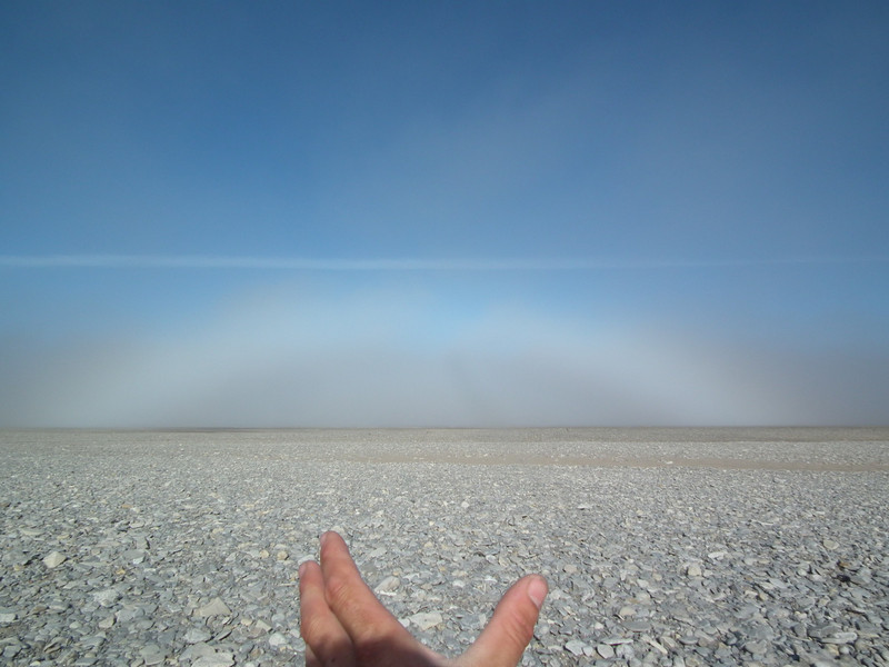 The Fogbow