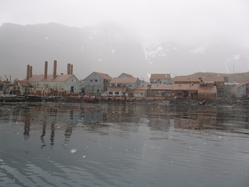 Leith Whaling Station