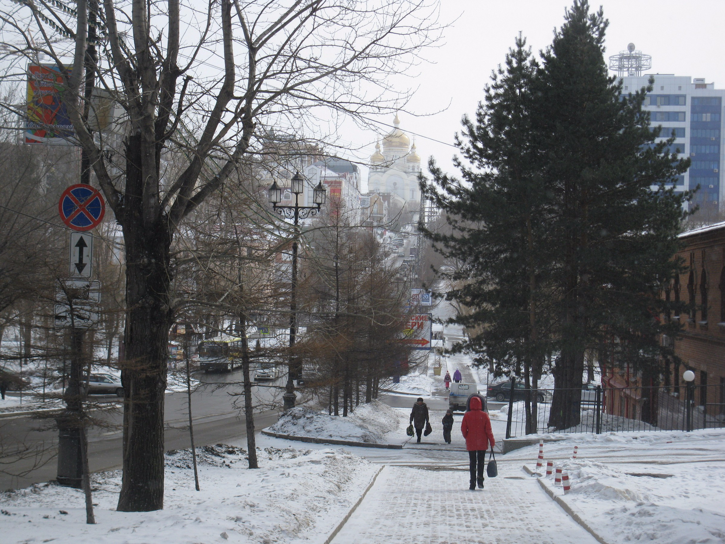 Ореховая сопка хабаровск фото