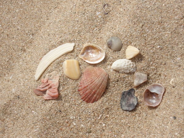 My shells