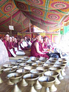 tibetan monk campaign on the way to swayambunath