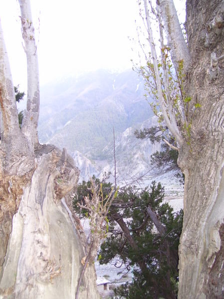 the view from the old gompa in manang