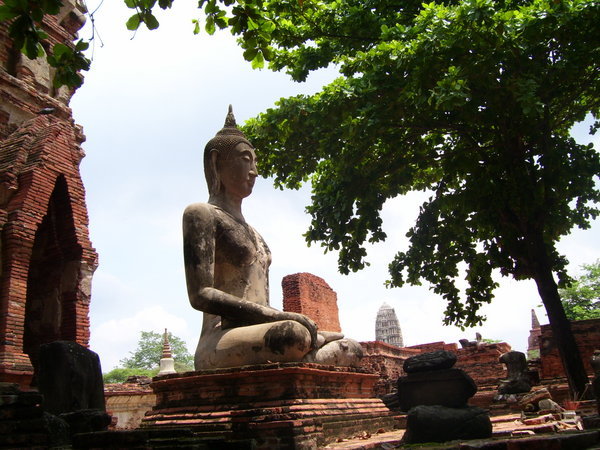 Meditated Budha in d'garden
