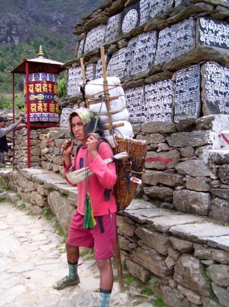 sherpa,,,  bringing logistic stuff for the villagers...
