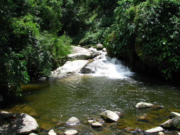 Tarzan Falls