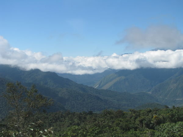Our First View of the Bolivian Jungle