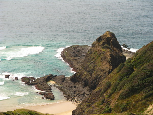 Cape Rienga