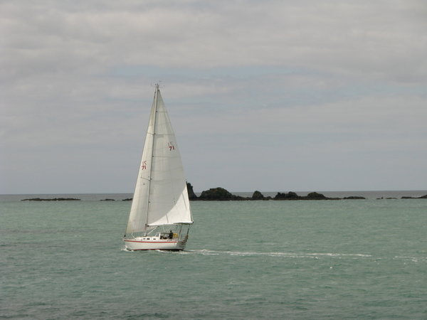 Yacht in the Bay of Islands