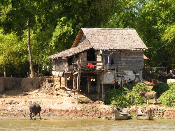 River House