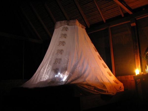 mosquito net at lodge