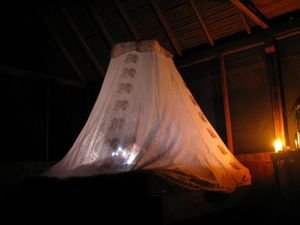 mosquito net at lodge