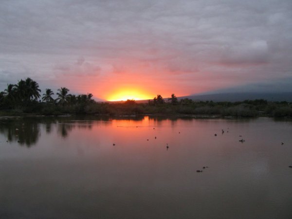 galapagos - sunset across lagoon on isabella