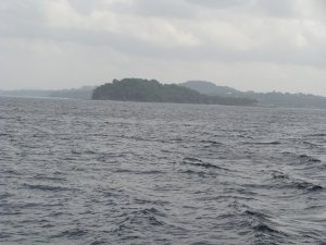 From the ferry to Havelock