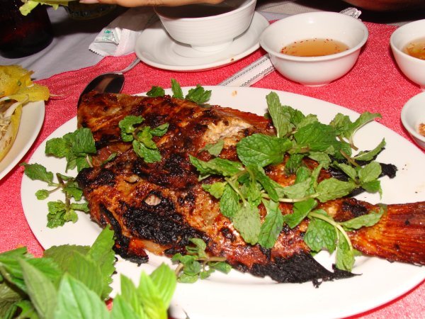 The grilled fish