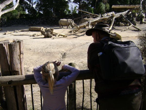 Looking at the Rhinos