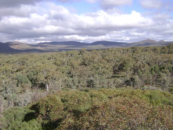 Looking over Wilpena Pound