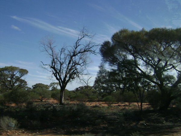 Beautiful Outback scenery