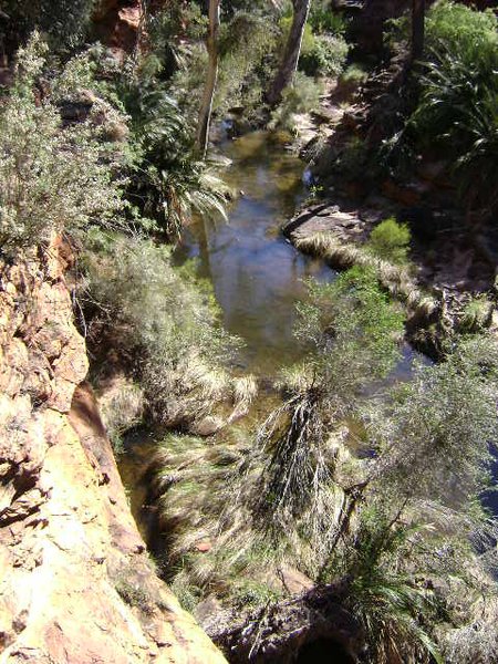Floor of the Canyon