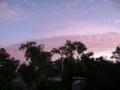 A lovely morning in Alice Springs