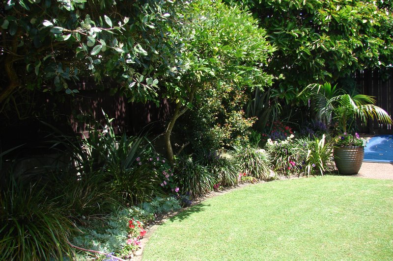 Back garden at Vivian Wilson